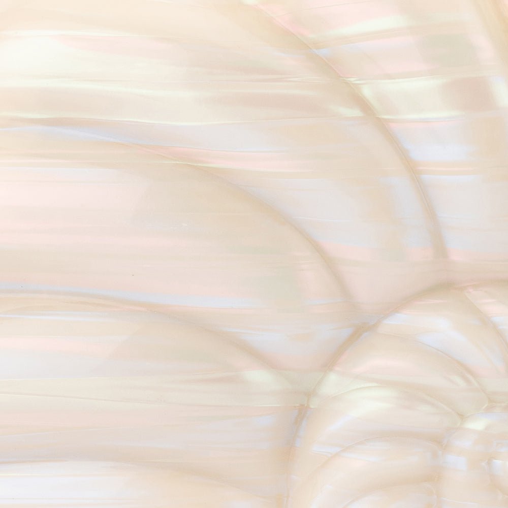 AVA Acrylic Shell Clutch - Olga Berg