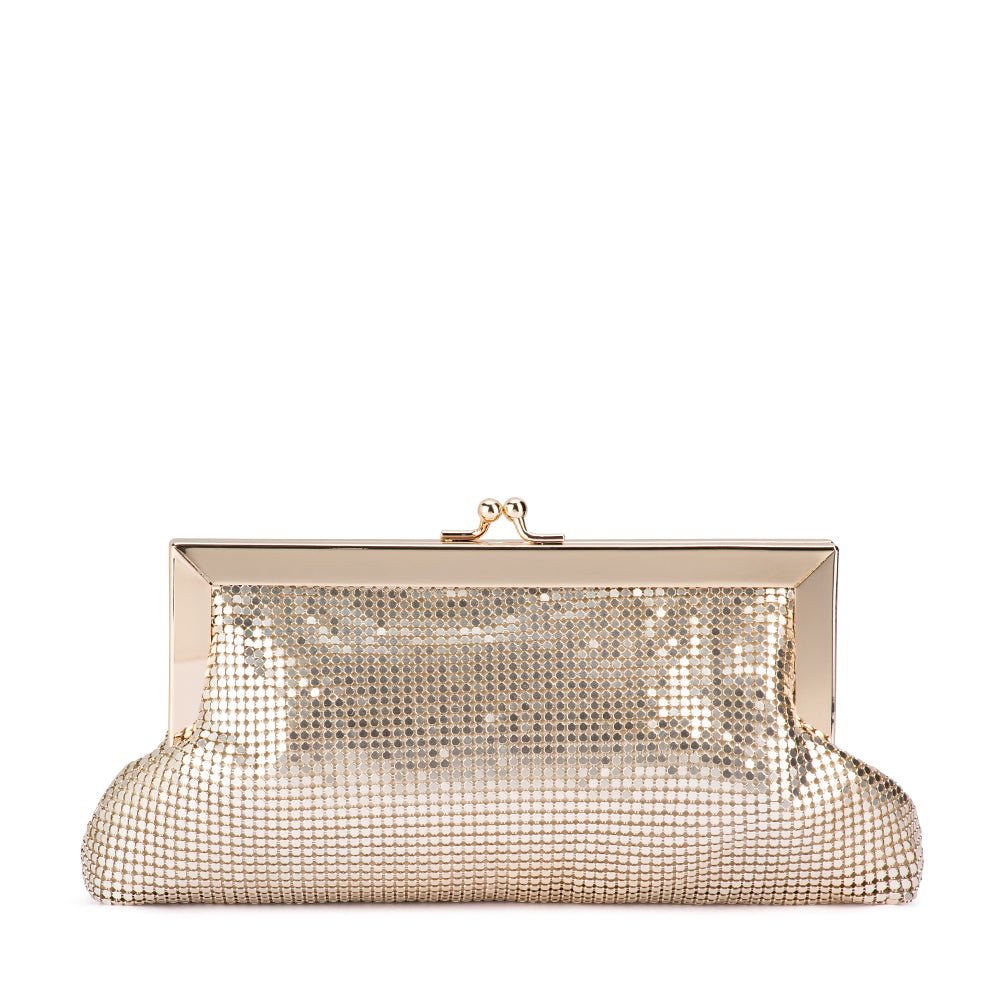 ZARA Mesh Frame Clutch - Olga Berg