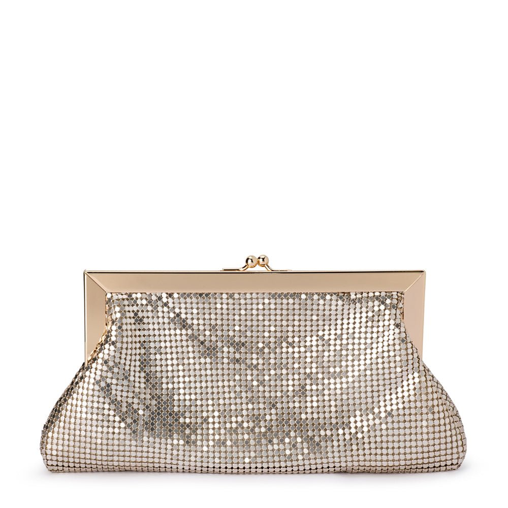 ZARA Mesh Frame Clutch - Olga Berg